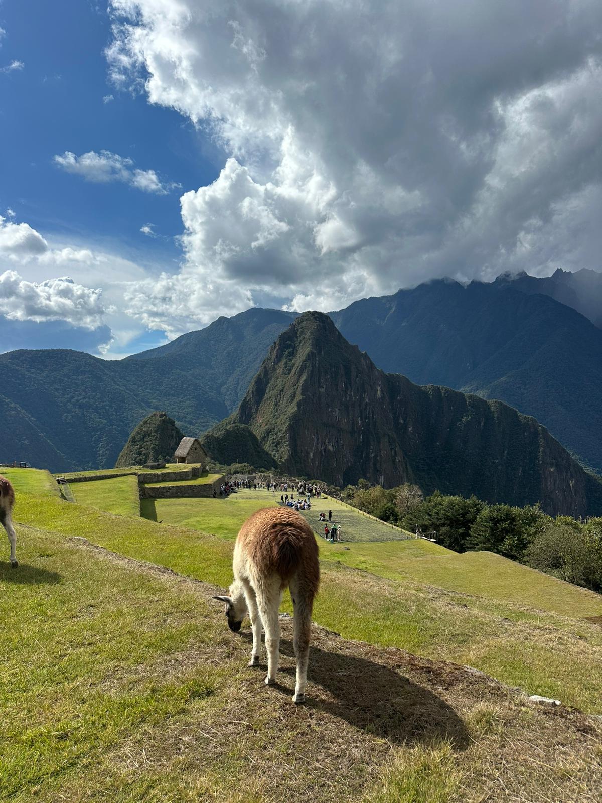 Short Inca Trail - Tours By Carlos